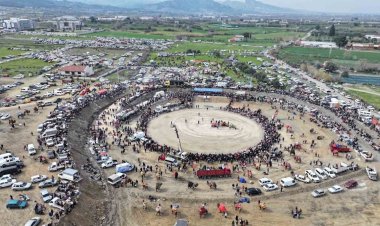 Manisa Salihli'de 10. Deve Güreşi Festivali tamamlandı