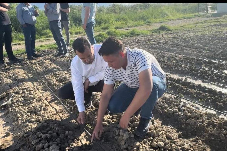 DOLU YAĞIŞINDAN ETKİLENEN ÜZÜM ÇİFTÇİSİ CHP’Lİ BAŞEVİRGEN’E DERT YANDI: “ÇİFTÇİNİN İŞİ ALLAH’A KALDI”