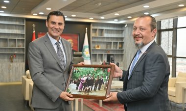 Sokak Hayvanları İçin Hayvan Hastanesi ve Vetbüs Projeleri Geliyor