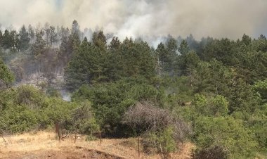 Spil Dağında'ki korkutan yangın kısa sürede kontrol altına alındı