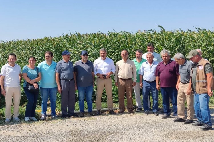 Süt Sığırı İşletmeleri İçin Heyecan Veren Denemenin Tarla Günü Yapıldı