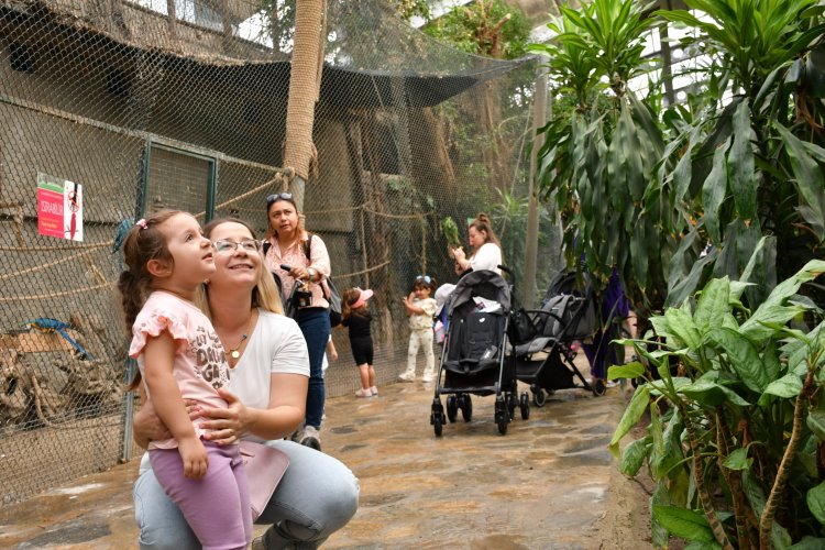 ÇKSM’li Minikler Sasalı’da Doğayı Keşfetti