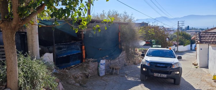 Manisa Büyükşehir’den ‘Mavi Dil’ Hastalığına Karşı Mücadele