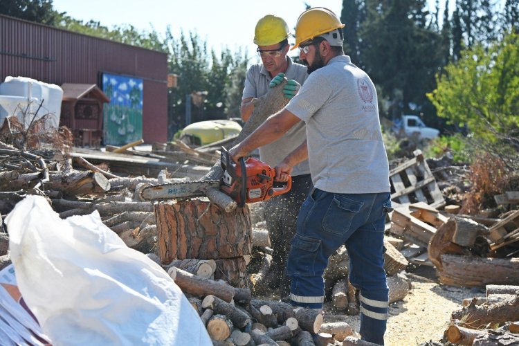 Akhisar Belediyesi’nden ihtiyaç sahibi vatandaşlara yakacak odun desteği