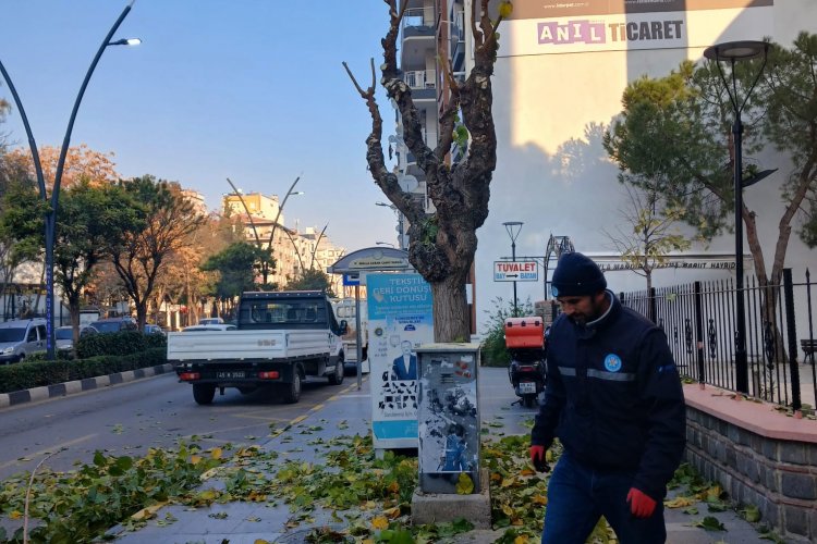 Büyükşehir Kent Genelinde Budama Çalışmalarına Devam Ediyor