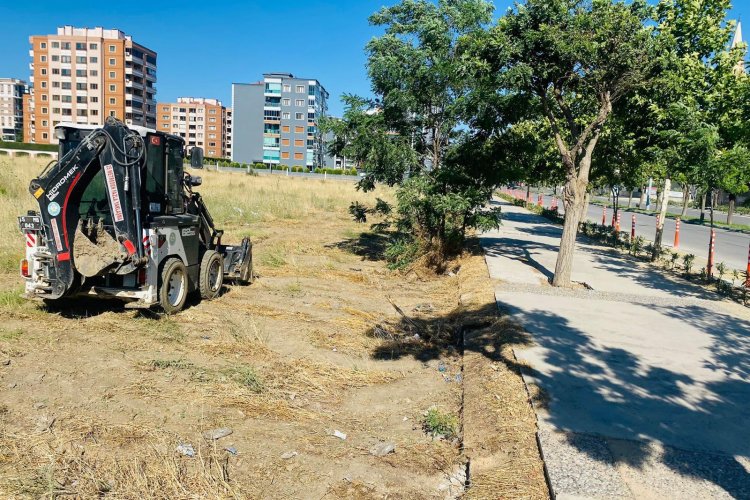 Manisa’da Yabani Ot Temizliği Çalışmaları Devam Ediyor