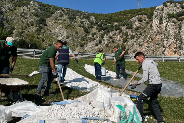 Yeşil Alanlara Estetik Dokunuş