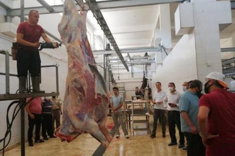 AKHİSAR HALK EĞİTİMİ  MERKEZİ  MÜDÜRLÜĞÜ TARAFINDAN  KURBAN KESİM ELEMANI  KURSU AÇILACAKTIR.