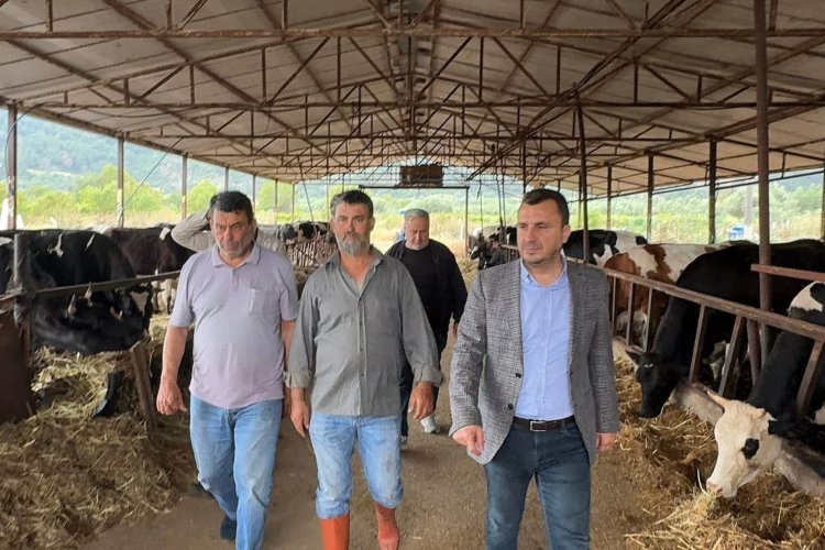 CHP’Lİ BAŞEVİRGEN’E DERT YANAN BESİCİ: “KURBANLIKLARI SATABİLMEK İÇİN ELDEN TAKSİT, MAZOT KARŞILIĞI VEYA KREDİ KARTINA TAKSİT KAMPANYASI BAŞLATTIK”