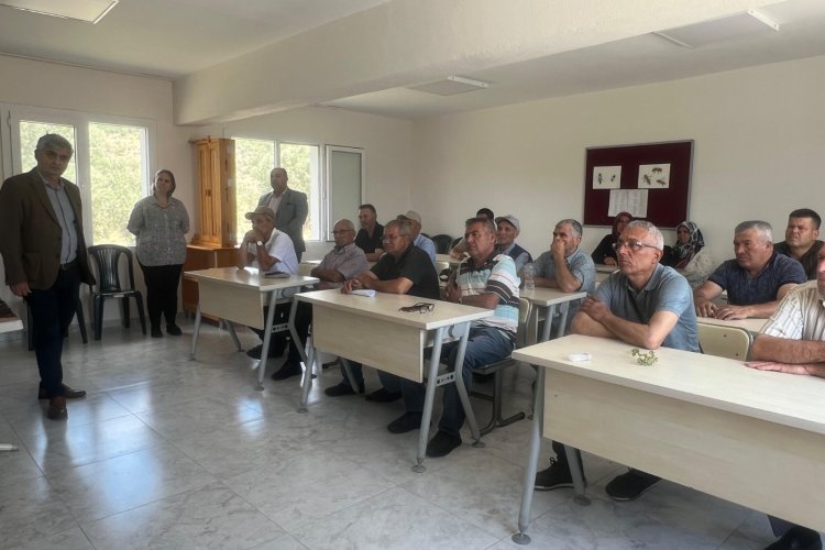 Büyükşehir’den Arıcılara Ana Arı Desteği