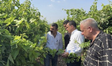 CHP’Lİ BAŞEVİRGEN’DEN TMO’YA FİYAT AÇIKLAMASI ÇAĞRISI