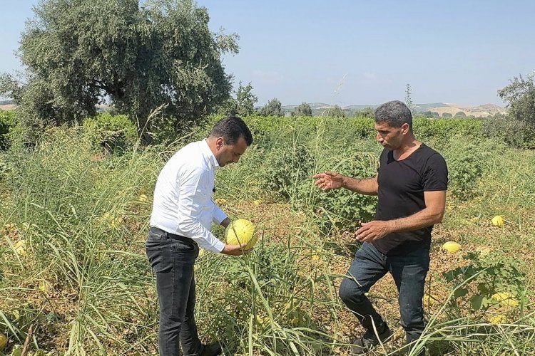 ÜRETİMİ BIRAKMA NOKTASINA GELEN ÇİFTÇİ, CHP’Lİ BAŞEVİRGEN’E İSYAN ETTİ: “BU DÜZEN ÇİFTÇİYİ BİTİRİR”