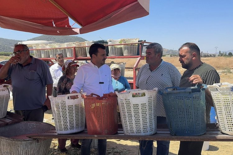 CHP’Lİ BAŞEVİRGEN’DEN TMO’YA VE BAKANLIĞA ÇAĞRI: “TMO ÜZÜM TABAN FİYATINI AÇIKLASIN, ACİL ALIMA BAŞLASIN, ÇİFTÇİ RAHAT NEFES ALSIN”
