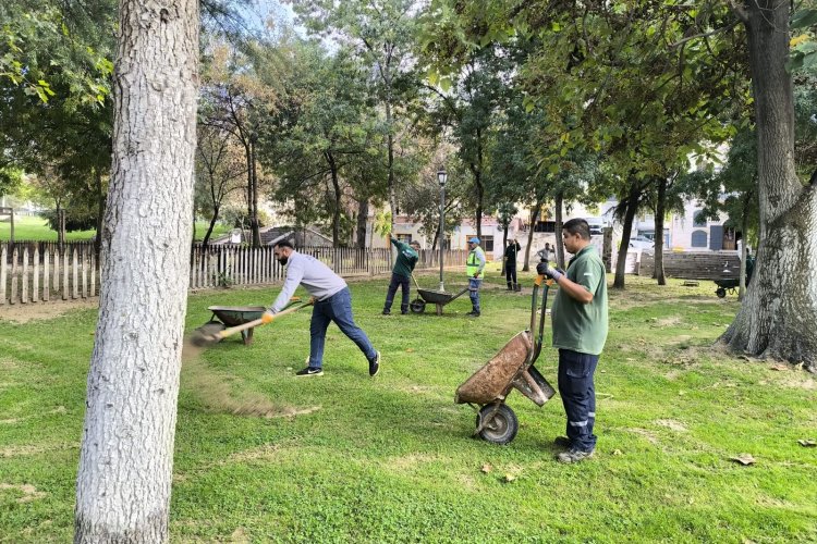 Büyükşehir’den Yeşil Alanlar için Sonbahar Hazırlığı