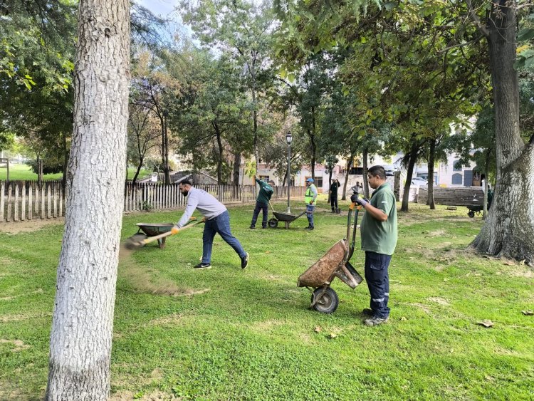 Büyükşehir’den Yeşil Alanlar için Sonbahar Hazırlığı