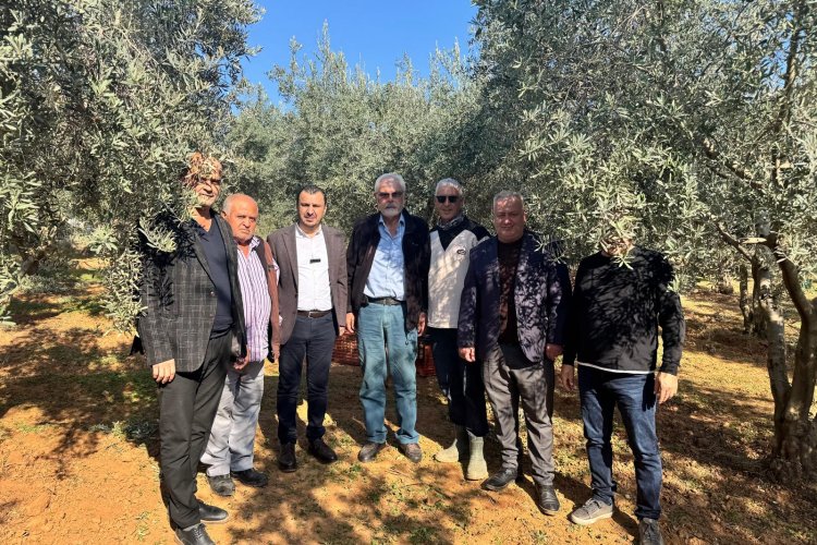 ZEYTİN ÜRETİCİLERİ CHP’Lİ BAŞEVİRGEN’E DERT YANDI: “ZEYTİN FİYATI 2023 İLE AYNI AMA GİRDİ MALİYETLERİ 2&3 MİSLİNE YÜKSELDİ BU KOŞULLARDA PARA KAZANMAMIZIN MÜMKÜNATI YOK”