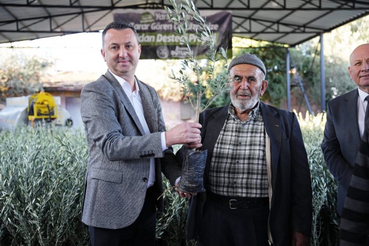 Büyükşehir’den Doğal Afet Mağduru Üreticilere Fidan Desteği