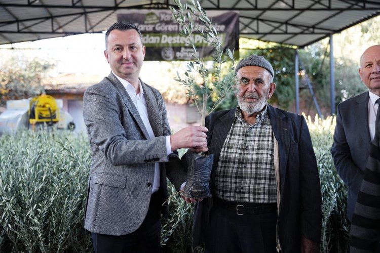 Büyükşehir’den Doğal Afet Mağduru Üreticilere Fidan Desteği