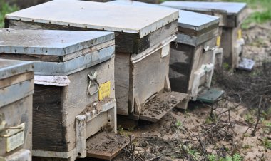 Büyükşehir, Selden Etkilenen Arıcıyı Yalnız Bırakmadı