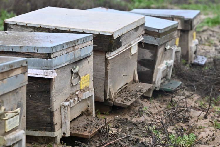 Büyükşehir, Selden Etkilenen Arıcıyı Yalnız Bırakmadı