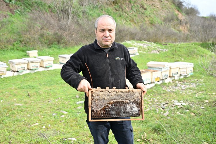 Büyükşehir’den Sel Mağduru Arıcıya Kovan Desteği