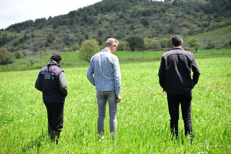 Büyükşehir’in Toprakla BuluşanTohumları Yeşerdi