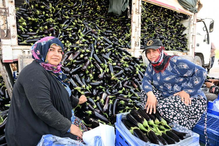 Manisa Büyükşehir BelediyesiAfetzede Çiftçinin Yüzünü Güldürdü