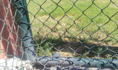 Manisa FK’nın “KAÇAK SU” kullandığı tespit edildi