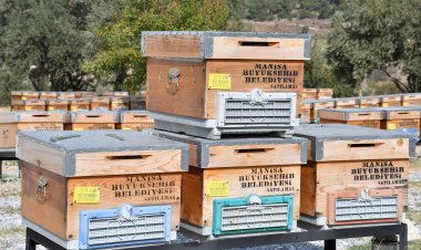 Öğrenciler arıların dünyasını tanıdı