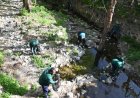 Çaybaşı Deresi’nde temizlik ve ağaçlandırma