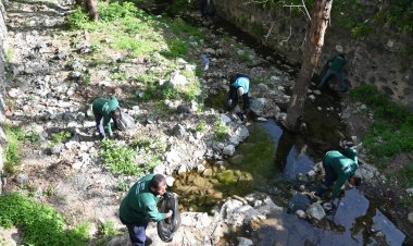 Çaybaşı Deresi’nde temizlik ve ağaçlandırma