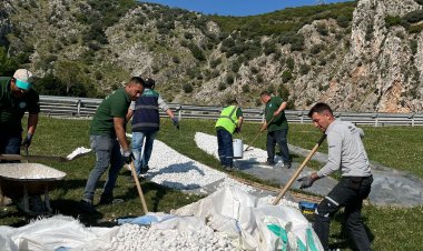 Yeşil Alanlara Estetik Dokunuş