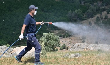 Köprübaşı’nda Çekirge İstilasına Karşı Mücadele