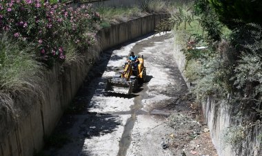 Bozköy Deresi Hayat Buluyor