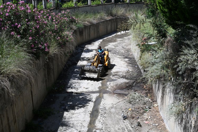 Bozköy Deresi Hayat Buluyor