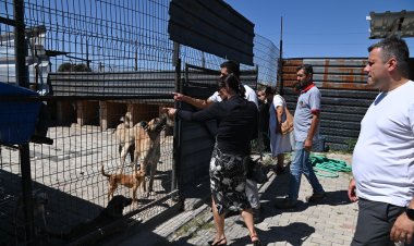 Sokak Hayvanları Komisyonu Kula’da Çalışmaları İnceledi