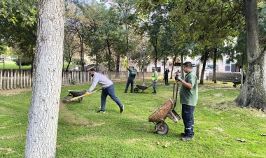 Büyükşehir’den Yeşil Alanlar için Sonbahar Hazırlığı