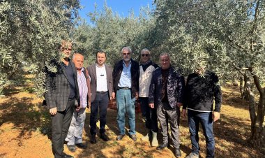 ZEYTİN ÜRETİCİLERİ CHP’Lİ BAŞEVİRGEN’E DERT YANDI: “ZEYTİN FİYATI 2023 İLE AYNI AMA GİRDİ MALİYETLERİ 2-3 MİSLİNE YÜKSELDİ BU KOŞULLARDA PARA KAZANMAMIZIN MÜMKÜNATI YOK”