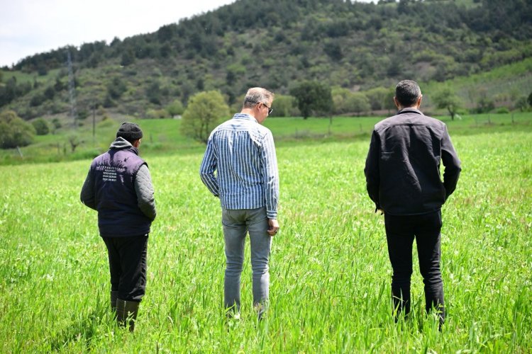 Büyükşehir’in Toprakla BuluşanTohumları Yeşerdi