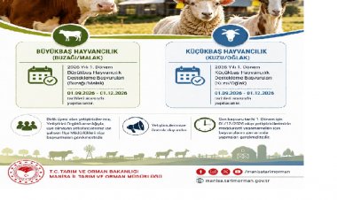 Büyükbaş ve Küçükbaş Hayvancılık Destekleme Başvuruları Başladı